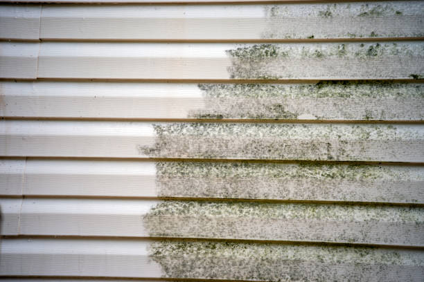 Best Engineered Wood Siding  in Flanders, NJ