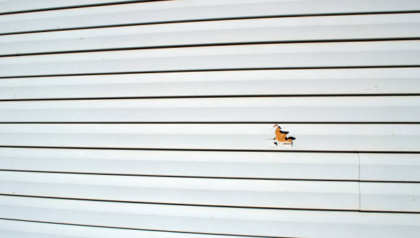 Best Stucco Siding  in Flanders, NJ